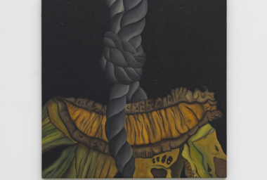 ANTONIO HENRIQUE AMARAL A penca, 1973