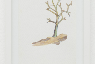 EA10050_Paixão1_DDH