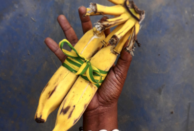 MOISÉS PATRICIO Aceita?, 2020