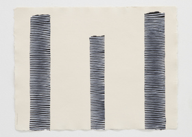 SHA00085_Sheroanawe Hakihiiwe_Hi i hipe amakuripe (Troncos con rastros iridiscentes)_Ph María Teresa Hamon_DDM