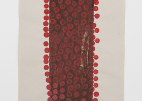 SHA00100_Sheroanawe Hakihiiwe_Toho toho (Hongos)_Ph María Teresa Hamon_DDM