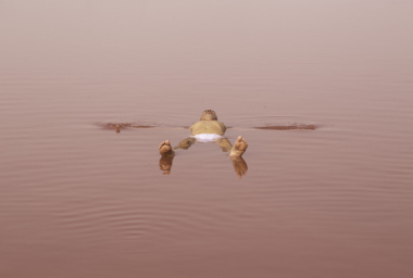 AYRSON HERÁCLITO História do Futuro - Corpo e Sal_ o Capítulo da Hidromancia, 2015