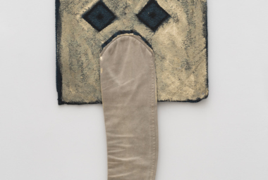 Adriano Costa_Elefante