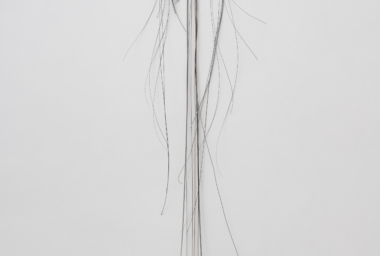 Jac Leirner_Sem titulo (provisorio)_2