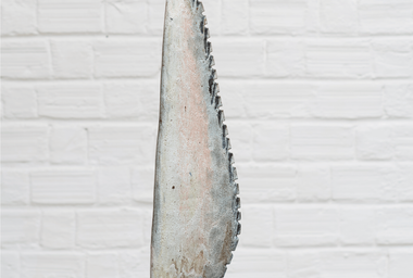 Francisco Brennand Barbatana, 1991-min