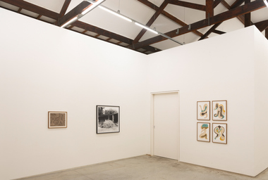 Carla Santana_ poros e acúmulos_1