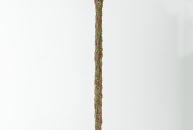 EN11004_Gota Folha_ Leaves Life_DDM1