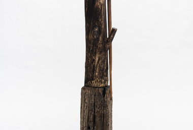 AB00047_Mamute (Mammoth)_Ph Eduardo Ortega_DDM1