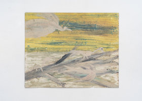 FW00008_Water Birds Gathering_Ph Eduardo Ortega_DDM1