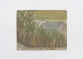 FW00009_View of Cow in Foliage_Ph Eduardo Ortega_DDM1