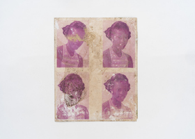 FW00009_View of Cow in Foliage_Ph Eduardo Ortega_DDM2