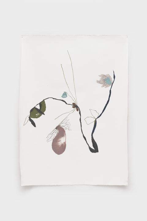 Ana Cláudia Almeida - No Pasto, 2024