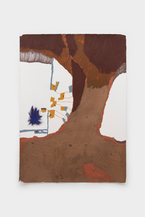 Ana Cláudia Almeida - Tronco, 2024