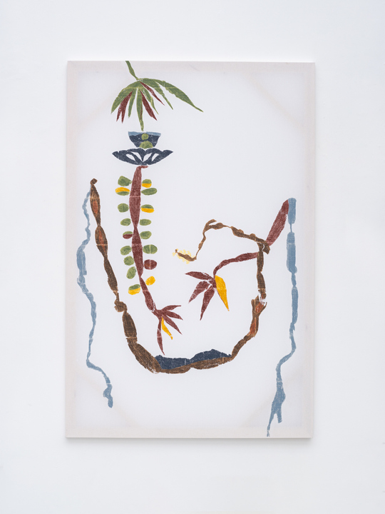 Ana Cláudia Almeida - Digestão, 2024