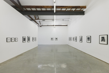 FDAG _ Ana Claudia Almeida e Mapplethorpe _ 1