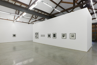 FDAG _ Ana Claudia Almeida e Mapplethorpe _ 12