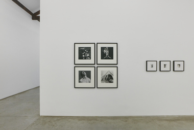 FDAG _ Ana Claudia Almeida e Mapplethorpe _ 14