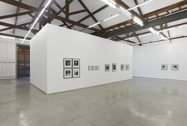 FDAG _ Ana Claudia Almeida e Mapplethorpe _ 16