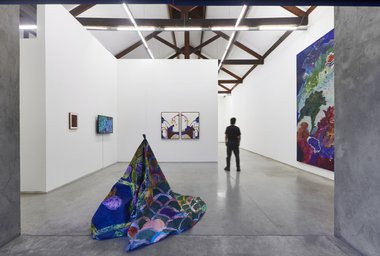 FDAG _ Ana Claudia Almeida e Mapplethorpe _ 17