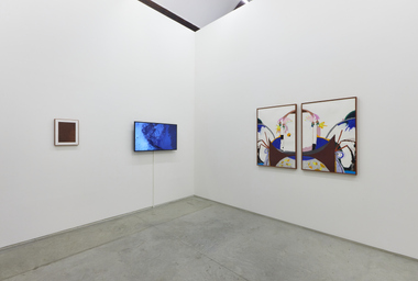 FDAG _ Ana Claudia Almeida e Mapplethorpe _ 19