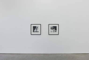 FDAG _ Ana Claudia Almeida e Mapplethorpe _ 3