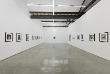 FDAG _ Ana Claudia Almeida e Mapplethorpe _ 4