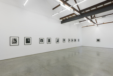 FDAG _ Ana Claudia Almeida e Mapplethorpe _ 6