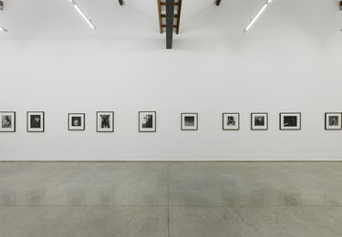 FDAG _ Ana Claudia Almeida e Mapplethorpe _ 7