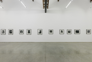 FDAG _ Ana Claudia Almeida e Mapplethorpe _ 7