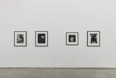 FDAG _ Ana Claudia Almeida e Mapplethorpe _ 8