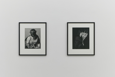 FDAG _ Ana Claudia Almeida e Mapplethorpe _ 9