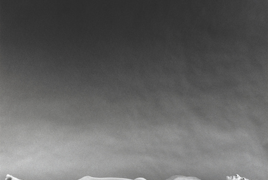 Robert Mapplethorpe_Peter Reed, 1980