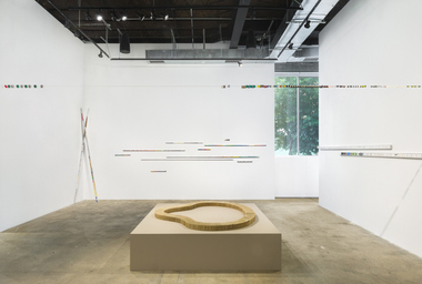 1 Jac Leirner Installation views at Swiss Institute, New York