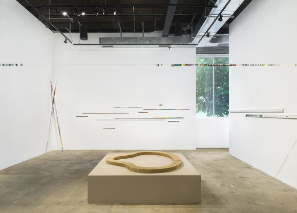 1 Jac Leirner Installation views at Swiss Institute, New York