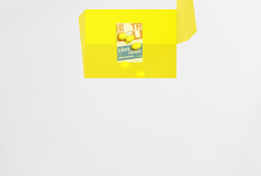 ROC00842_Rodrigo Cass_limão_citron_limone_zitrone_lemon_Ph Eduardo Ortega_DDM_3