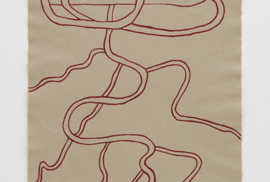 SHEROANAWE HAKIHIIWE Shiwarikiwe thoo (Bejuco enredado), 2021