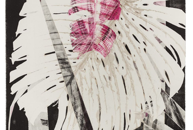 col-zer-11529-64a43cdc83e47