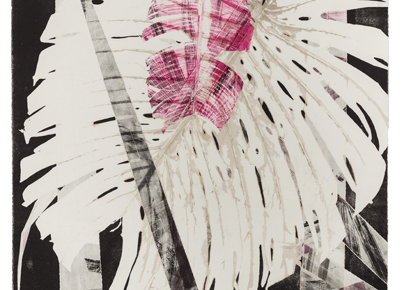 col-zer-11529-64a43cdc83e47