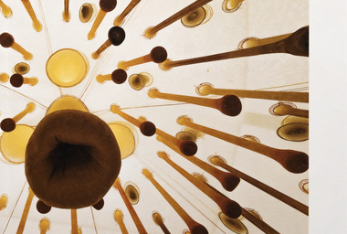 Screen Shot 2023-12-04 at 14.46.27