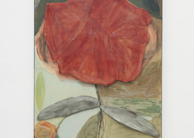 TC300027_Tatiana Chalhoub_Rosa Vermelha_Ph Eduardo Ortega_DDM