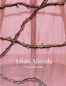 uma coisa linda copy