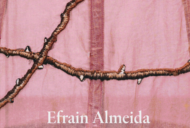 uma coisa linda copy