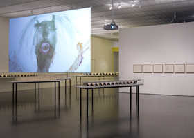 Centre Pompidou Metz, 2021, Photo Marc Domage_2