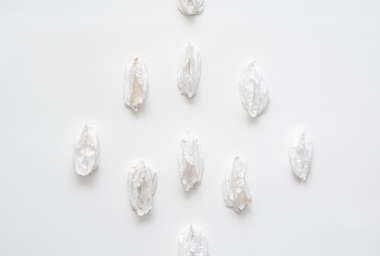 CLAUDIA CASARINO, Corollas, 2019_2