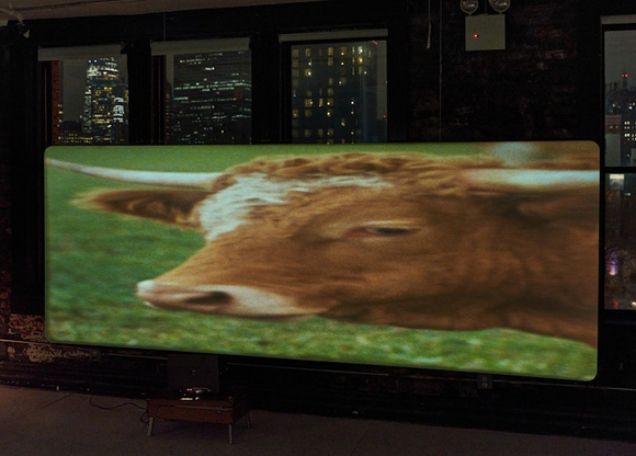 deblasio-animalfarm-3