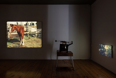 Screen Shot 2024-08-20 at 11.52.45