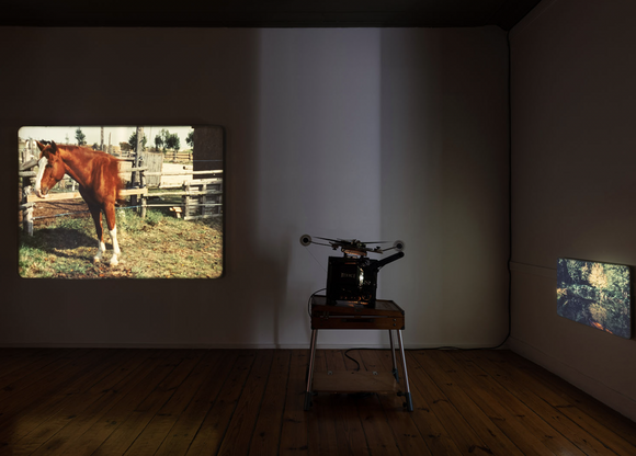 Screen Shot 2024-08-20 at 11.52.45