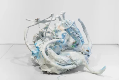 59b95681-a9ae-498d-86a9-5c3375dc9d73