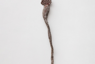 Flor_de_lótus_Ph_Ana_Pigosso_Cortesia_Central_DDM_2