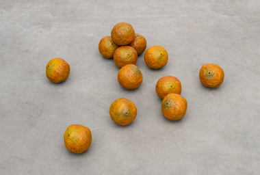 EV01887_Erika Verzutti_A Dozen Oranges_Ph. Eduardo Ortega_DDM_2